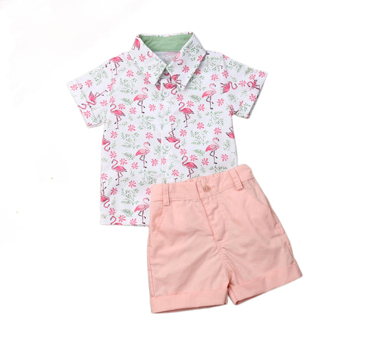 Flamingo 2pc outfit